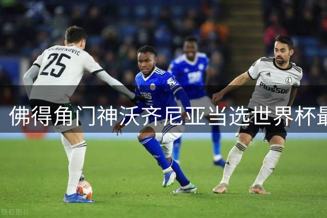 佛得角门神沃齐尼亚当选世界杯最佳阵容 动情告白全球球迷