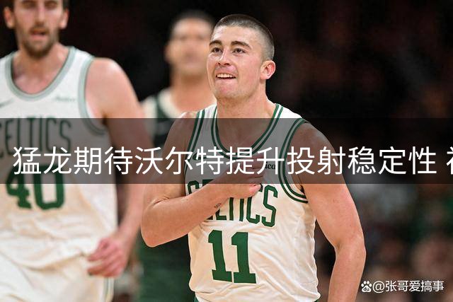 猛龙期待沃尔特提升投射稳定性 视其为关键角色球员
